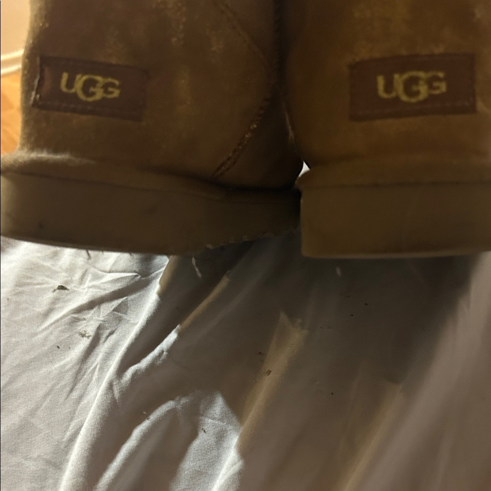 UGG Christmas Special